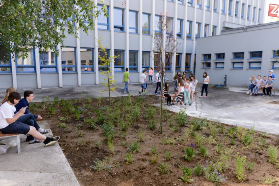 Ilustračný obrázok k článku Skvelý nápad: V priestoroch nitrianskeho gymnázia vznikla šudentská záhrada, FOTO