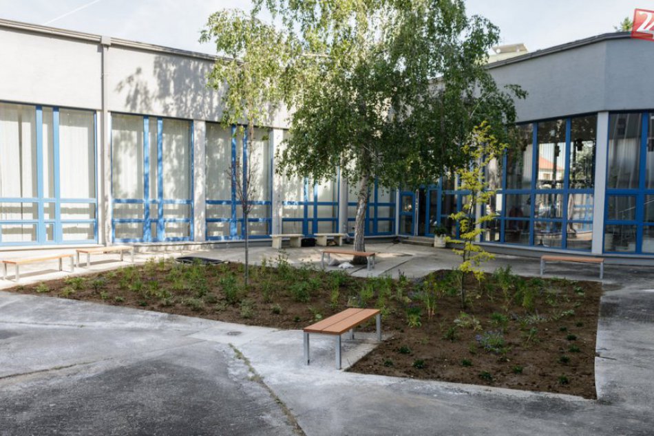 Skvelý nápad: V priestoroch nitrianskeho gymnázia vznikla šudentská záhrada, FOT