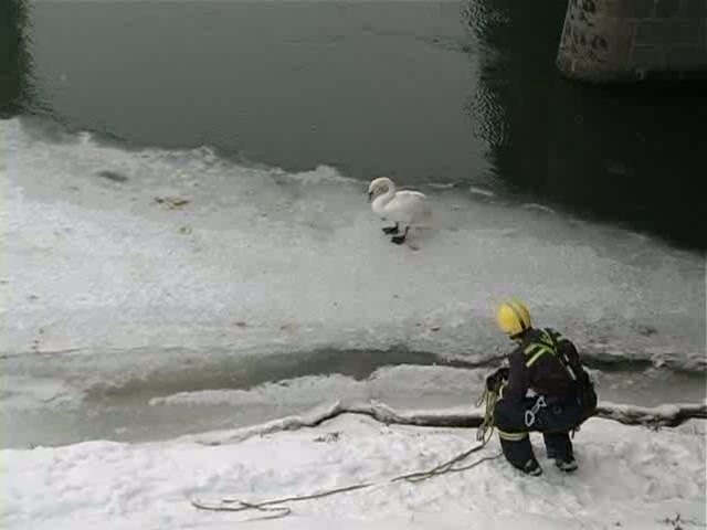 Na rieke museli zasahovať hasiči
