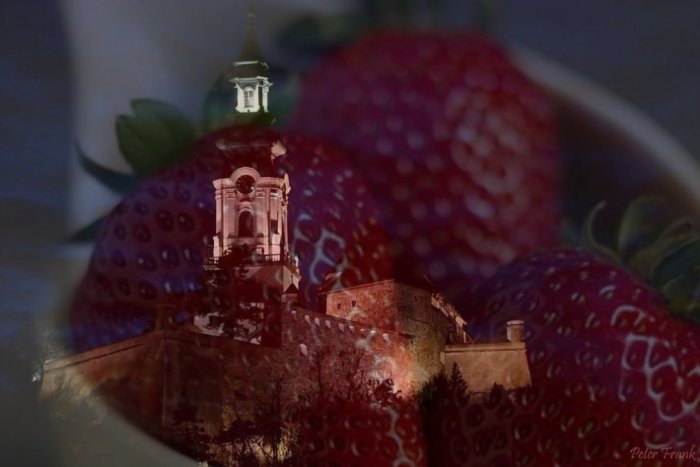 Ilustračný obrázok k článku Netradičné vábenie návštevníkov: Mesto láka turistov na jahody...