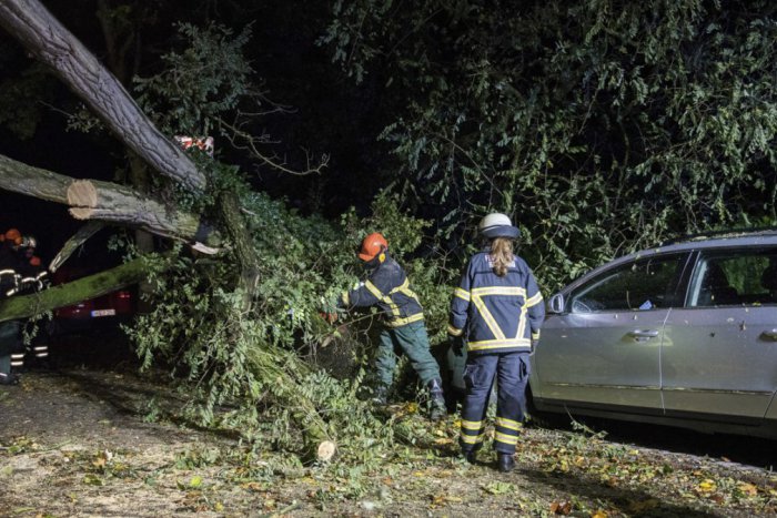 Ilustračný obrázok k článku Spúšť v Nitrianskom kraji: Vietor trhal stromy zo zeme, desiatky hasičov v akcii