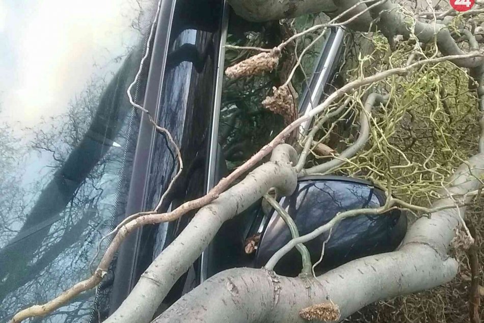 Ilustračný obrázok k článku Silný vietor v Nitre lámal konáre: Jeden spadol na odstavené auto
