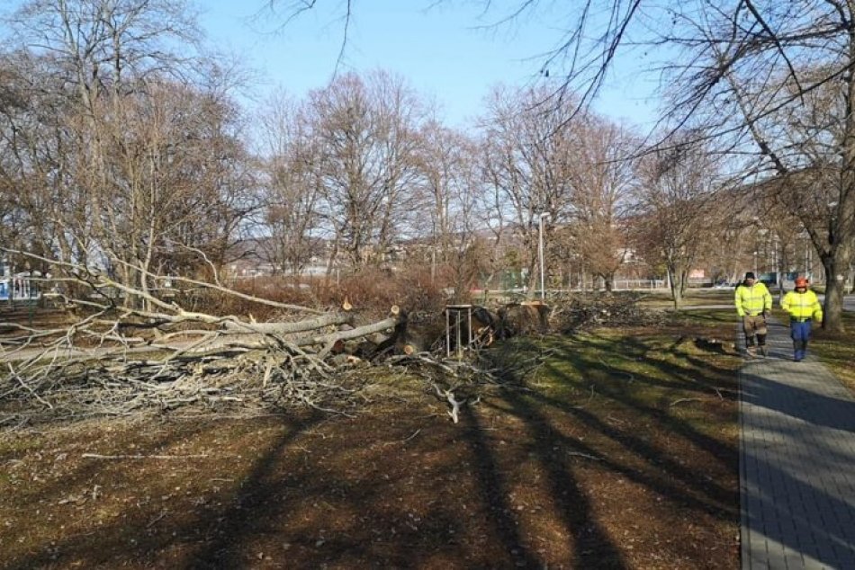 Ilustračný obrázok k článku Mesto uzavrelo park aj cintoríny: Za obeť počasiu padlo už niekoľko stromov