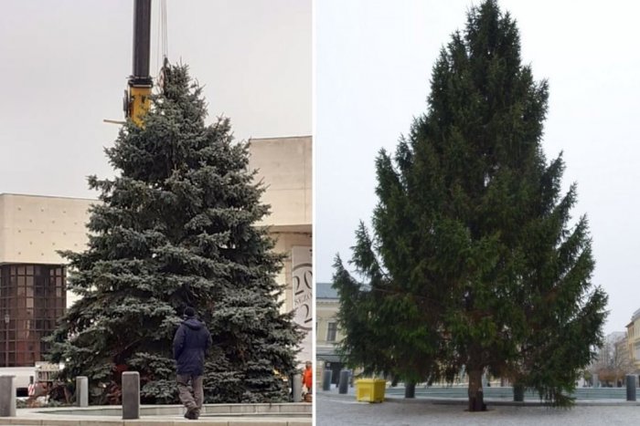 Ilustračný obrázok k článku HLASUJTE! Nitrianske námestie zdobí vianočný stromček, je krajší ako pred rokom?