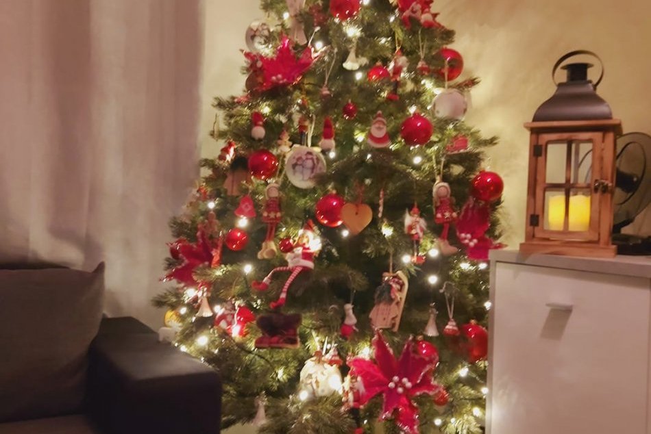 Ilustračný obrázok k článku Nitrania ukázali svoje vianočné stromčeky: Sledujete tú parádu, FOTO od vás!