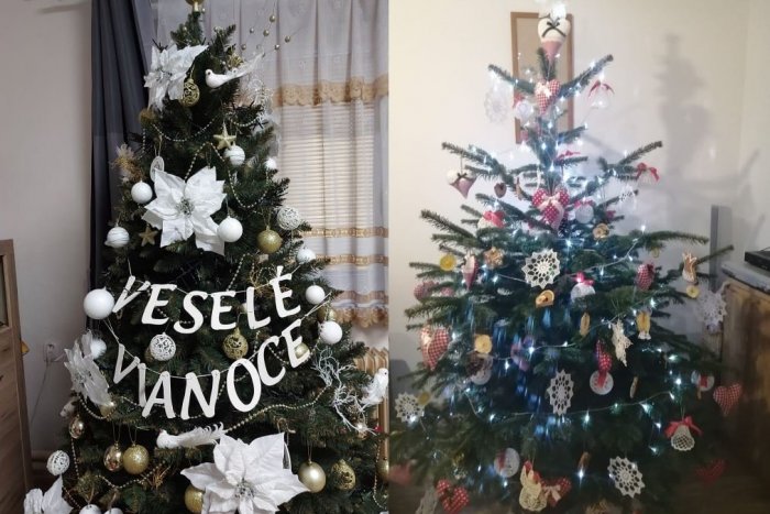 Ilustračný obrázok k článku Vianočné stromčeky u Nitranov doma: Živý už má len málokto, FOTO