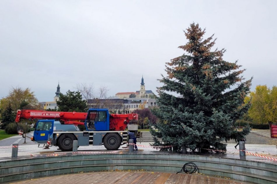 Ilustračný obrázok k článku Na námestí v Nitre už stojí vianočný strom: Mesto ho dostalo darom