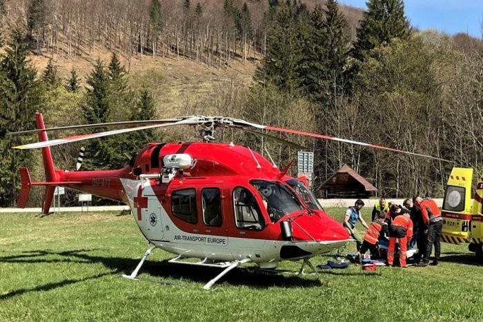 Ilustračný obrázok k článku V lese pri Nitre zasahoval záchranársky vrtuľník: Muža zranil padajúci STROM