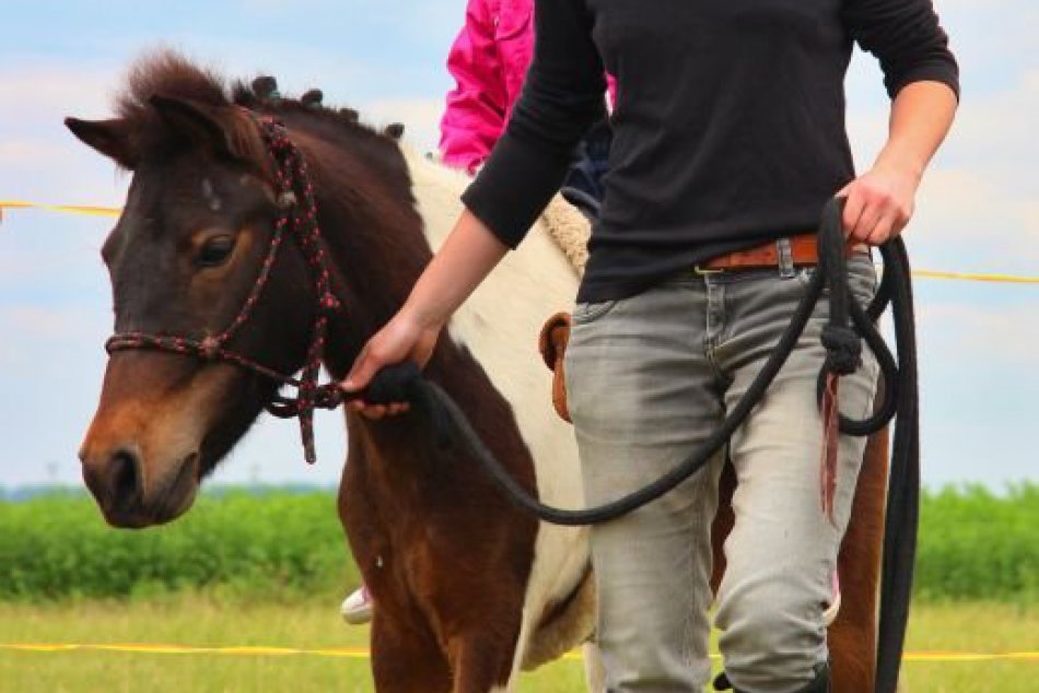 Sila a výbušnosť koní: Neďaleko Nitry si pripomenuli 200 rokov od prvých dostiho