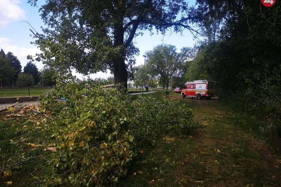 Silný vietor spôsobil obrovské nešťastie v Nitre: Spadnutý strom zabil chlapca