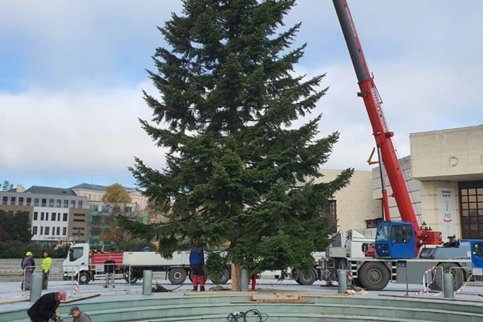 Nitra sa pripravuje na najkrajšie sviatky: Námestie už zdobí vianočný stromček