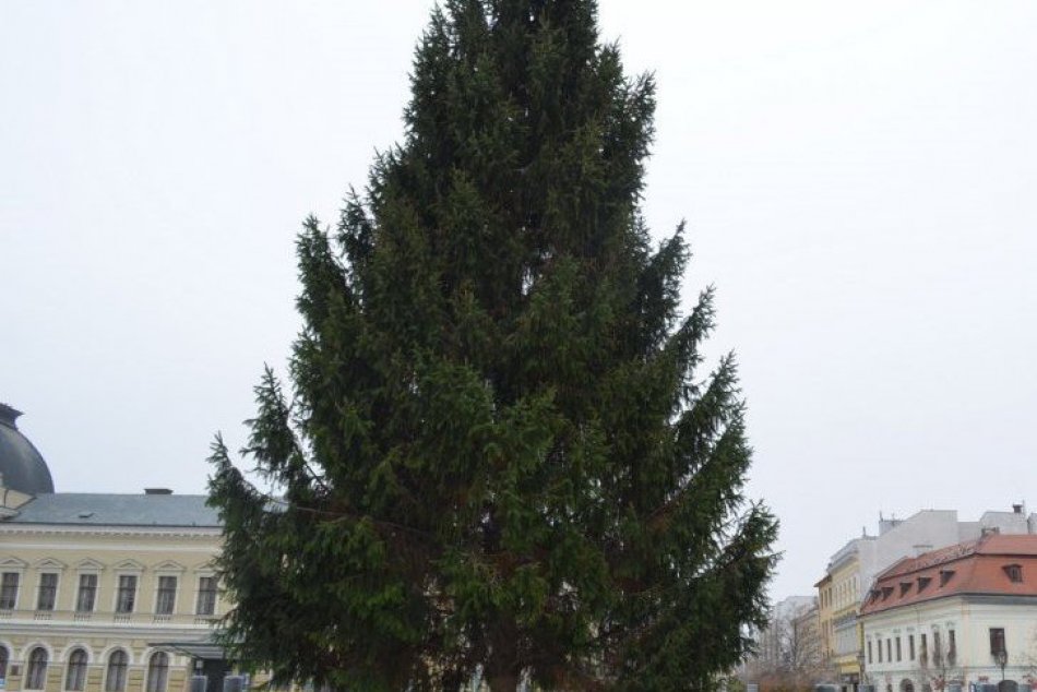 Vianočné stromčeky na námestí v Nitre v roku 2020 a 2019